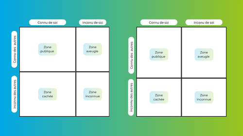 Deuxième representation des fenêtres de johari flexible