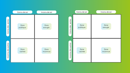 2 première représentation des fenetre de joharie en mouvement